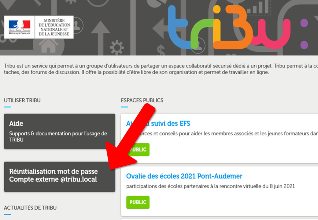 Capture écran de la page d'accueil de Tribu avec le bouton pour réinitialiser son mot de passe